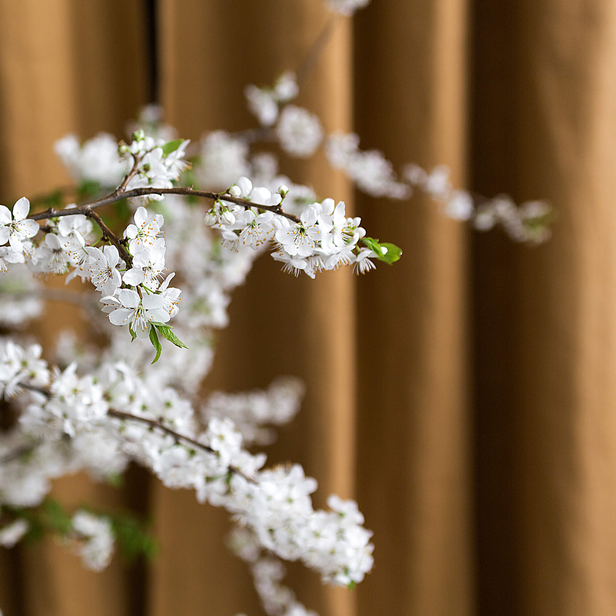 Dusty Mustard curtains with a decorative white floral wreath in front